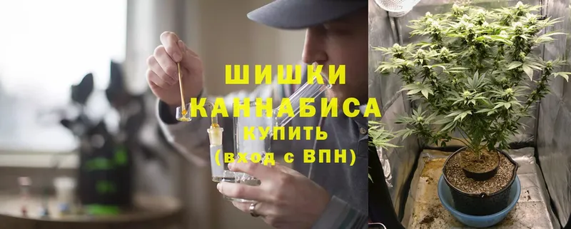 Каннабис SATIVA & INDICA  Шагонар 